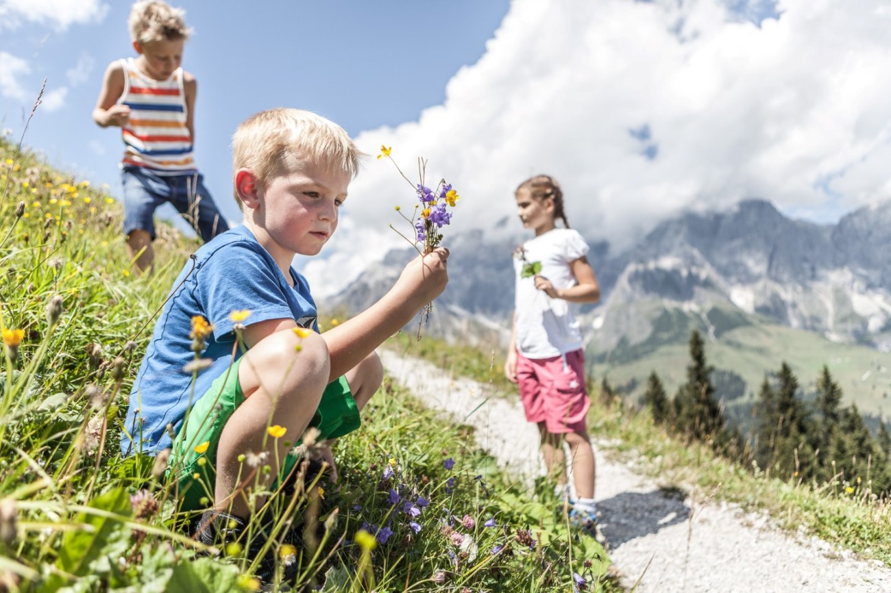 Drei Kinder pfl&uuml;cken Blumen auf einem sonnigen Hang beim Wandern in Maria Alm.  &copy;TVB_Hochk&ouml;nig/Johannes Flesch