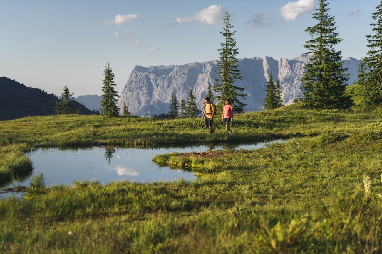 Zwei Menschen im Sommerurlaub im Hotel Bachschmied wandern auf einer gr&uuml;nen Wiese mit Bergen im Hintergrund. &copy;TVB_Hochk&ouml;nig