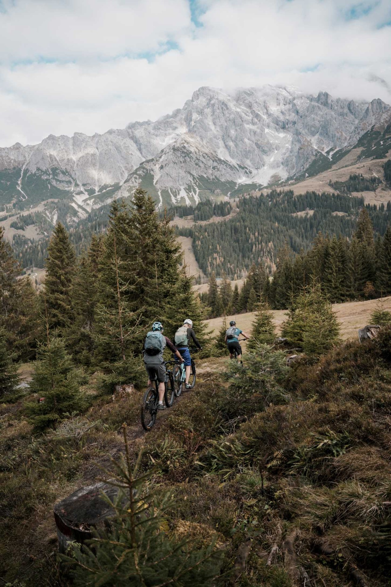 Drei Mountainbiker fahren auf einem schmalen Pfad durch eine bergige Waldlandschaft. &copy;TVB_Hochk&ouml;nig